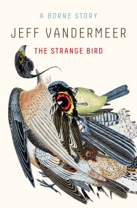 The Strange Bird.jpg